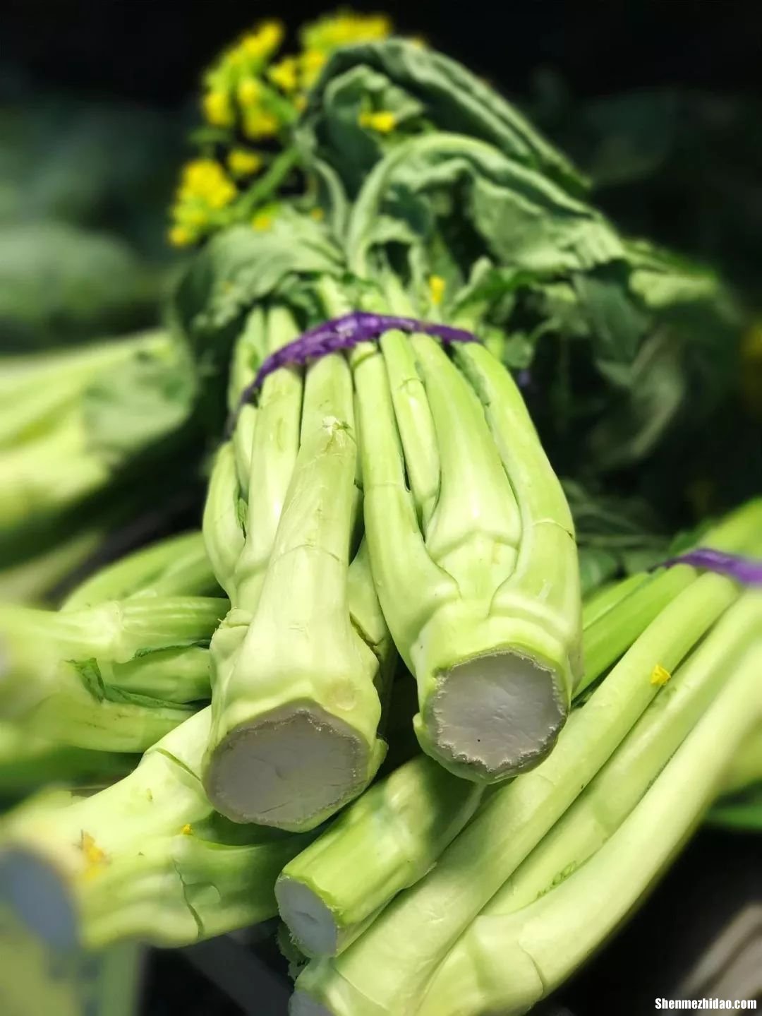 迟菜心一般煮多久 迟菜心怎么做才好吃