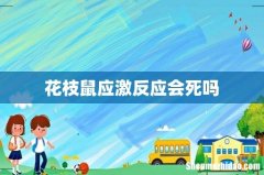 花枝鼠应激反应会死吗