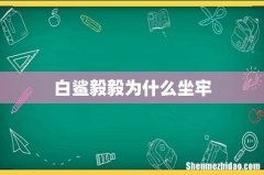 白鲨毅毅为什么坐牢