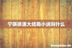 宁琪徐漾大结局小说叫什么