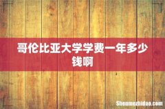 哥伦比亚大学学费一年多少钱啊
