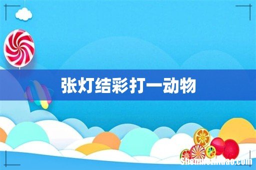 张灯结彩打一动物