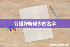 公猫好听稀少的名字