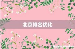 北京排名优化