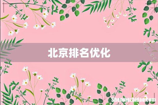 北京排名优化