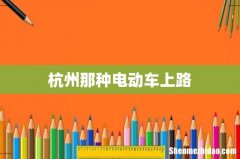 杭州那种电动车上路
