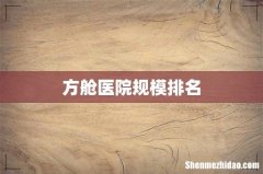 方舱医院规模排名