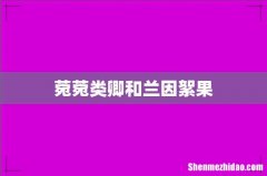 菀菀类卿和兰因絮果