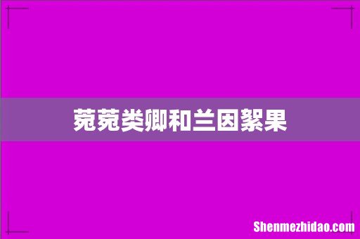 菀菀类卿和兰因絮果