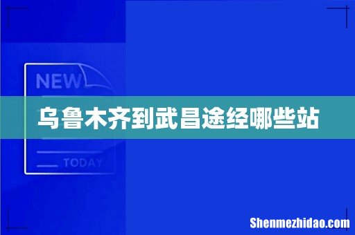 乌鲁木齐到武昌途经哪些站