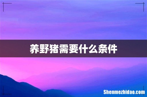 养野猪需要什么条件