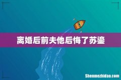 离婚后前夫他后悔了苏鎏
