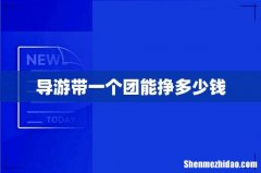 导游带一个团能挣多少钱