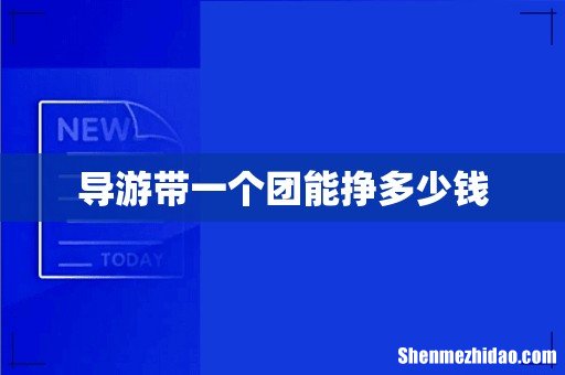 导游带一个团能挣多少钱