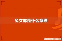 兔女郎是什么意思