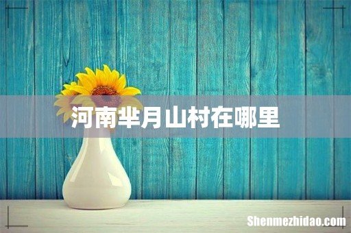 河南芈月山村在哪里