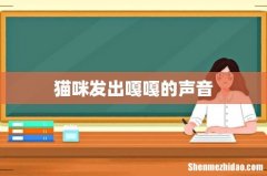 猫咪发出嘎嘎的声音