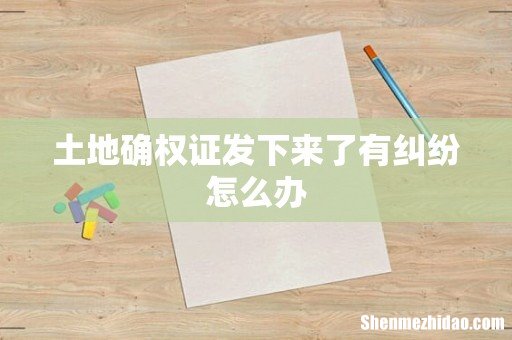 土地确权证发下来了有纠纷怎么办