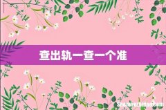 查出轨一查一个准