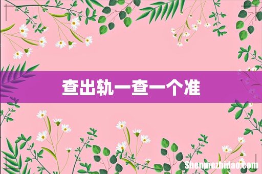 查出轨一查一个准