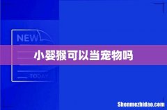 小婴猴可以当宠物吗