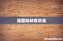 德国柏林夜总会