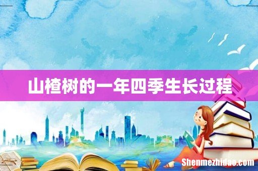 山楂树的一年四季生长过程