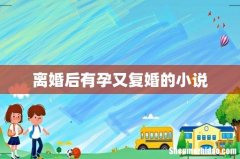 离婚后有孕又复婚的小说
