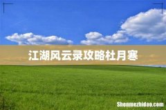 江湖风云录攻略杜月寒