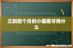 三到四个月的小猫磨牙用什么