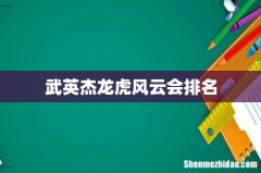 武英杰龙虎风云会排名