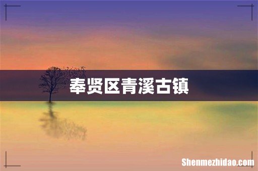 奉贤区青溪古镇