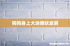 狗狗身上大块鳞状皮屑