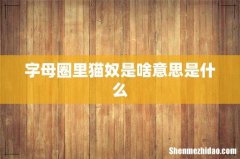字母圈里猫奴是啥意思是什么