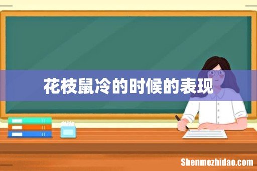 花枝鼠冷的时候的表现