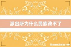 派出所为什么民族改不了