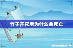 竹子开花后为什么会死亡