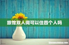 旅馆双人间可以住四个人吗