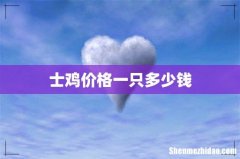 士鸡价格一只多少钱