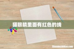 猫眼睛里面有红色的线