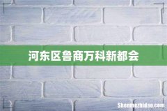 河东区鲁商万科新都会