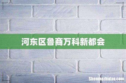 河东区鲁商万科新都会