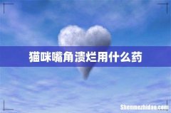 猫咪嘴角溃烂用什么药
