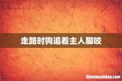 走路时狗追着主人脚咬