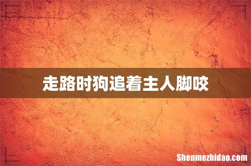 走路时狗追着主人脚咬