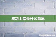 成功上岸是什么意思