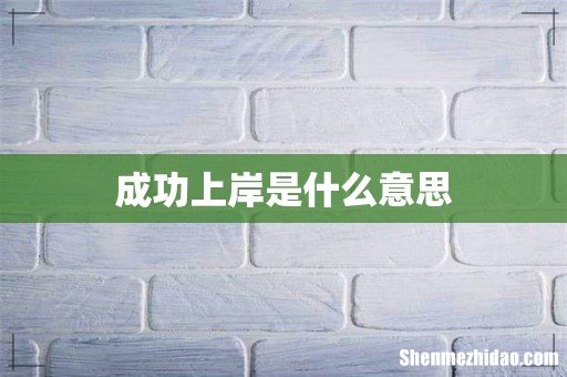 成功上岸是什么意思