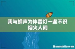 我与蝉声为伴留灯一盏不识烟火人间