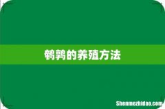 鹌鹑的养殖方法