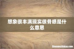 想象很丰满现实很骨感是什么意思